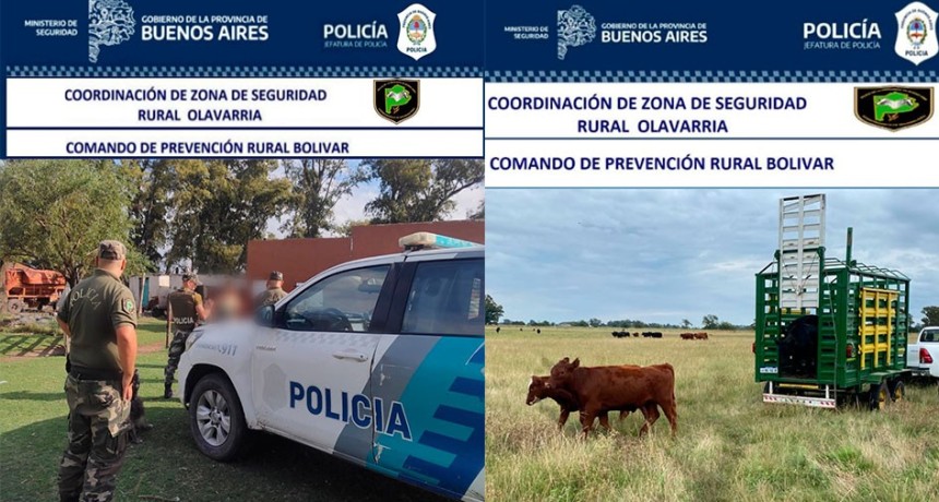 Informe Oficial Comando de Prevenci&oacute;n Rural Bol&iacute;var: Se recuperaron 4 terneros que faltaron de un campo en la Zona de La 140