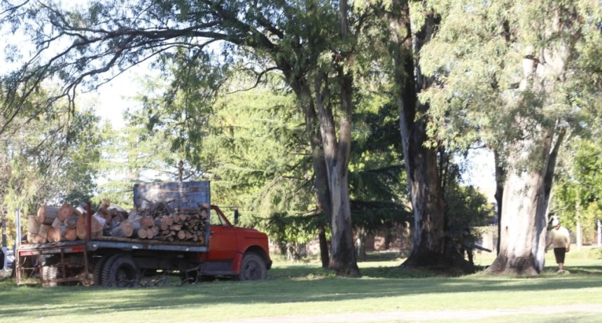 Comunicado de la Direcci&oacute;n de Gesti&oacute;n de Espacios Verdes y Est&eacute;tica Urbana