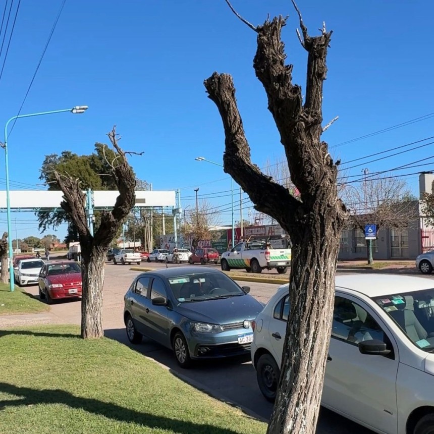 Actualidad Municipio: Comunicado de la Direcci&oacute;n de Est&eacute;tica urbana y Espacios Verdes