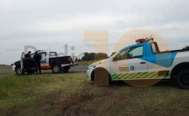 Accidente en ruta 205: Camión y auto