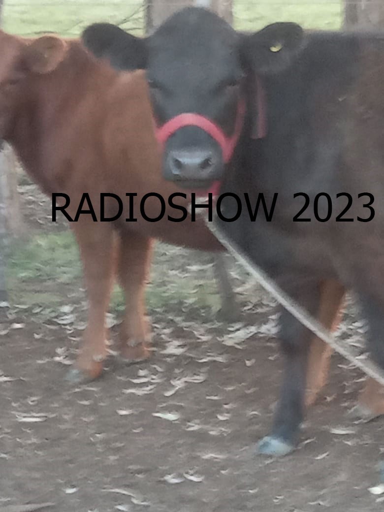 En un campo de invernada, intentaron faenar un animal y se llevaron la pantalla solar y el eléctrico