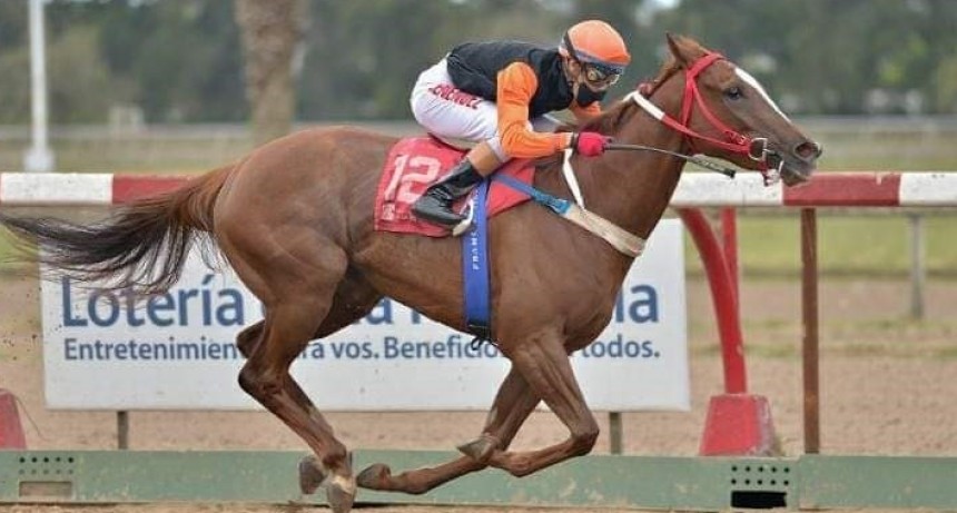 Franco Men&eacute;ndez: &ldquo;A pesar de la pandemia logr&eacute; 92 triunfos durante el 2020&rdquo;