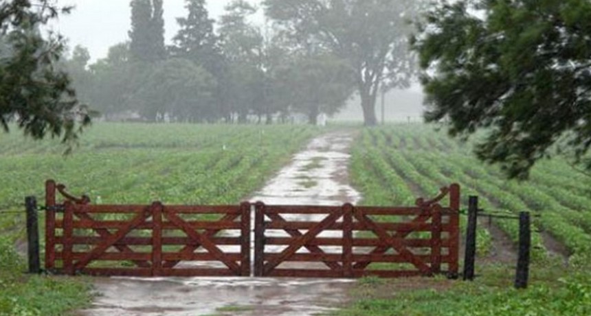 Se dieron lluvias con registros que van de 10 a 60 mil&iacute;metros en toda la zona