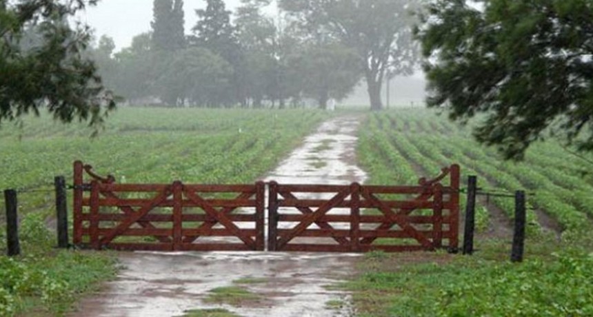 Domingo y lunes, registros que van desde los 15 a los 50 mil&iacute;metros