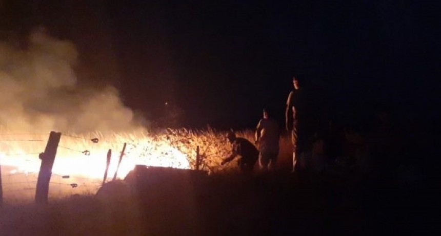 9 de Julio: Bomberos y el accionar de empleados logran salvar una f&aacute;brica de l&aacute;cteos de ser incendiada