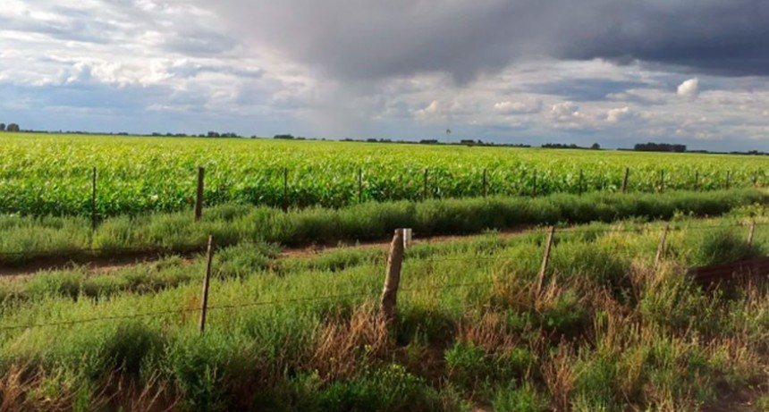 La primera lluvia del año 2023