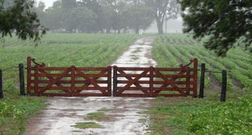 Una lluvia celebrada por el campo, con registros que van desde 15 hasta 80 mil&iacute;metros