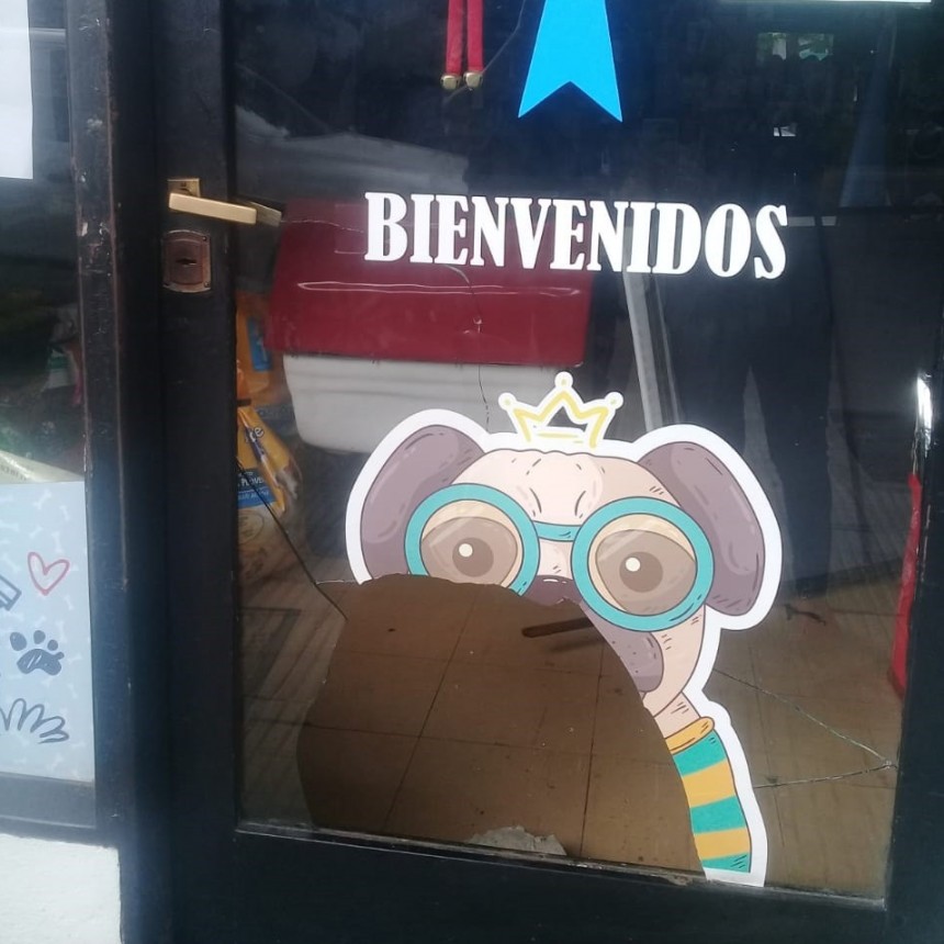 Robaron en el comercio  "La Bandera Pet Shop Boutique" y atacaron varias vidrieras