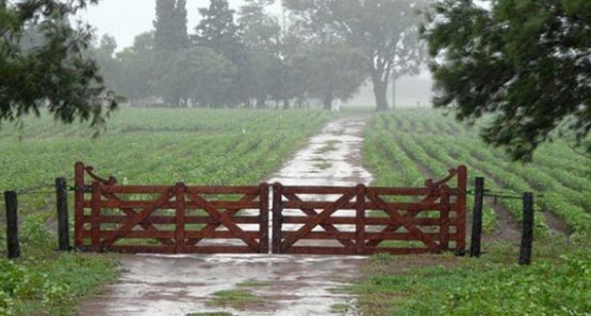 Lluvias irregulares en el partido de Bol&iacute;var