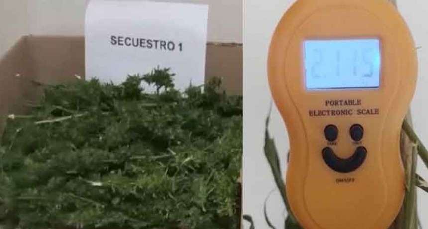 Información Oficial: La Policía de Bolívar secuestró más de dos kilos de Marihuana, tras un operativo y  posterior allanamiento