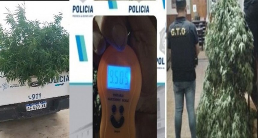 En un allanamiento por amenazas, la Policía secuestró gran cantidad de Marihuana