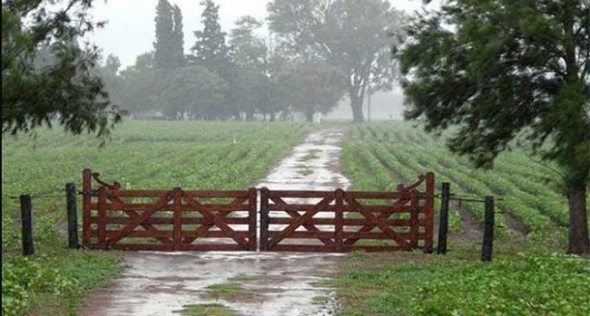 Registro de lluvias parciales de este domingo y lunes, aparece Hortensia como record con 230 milímetros