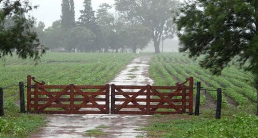 Lleg&oacute; la lluvia y gener&oacute; alivio en los cultivos, hubo registros que se destacan llegando hasta 80 mil&iacute;metros