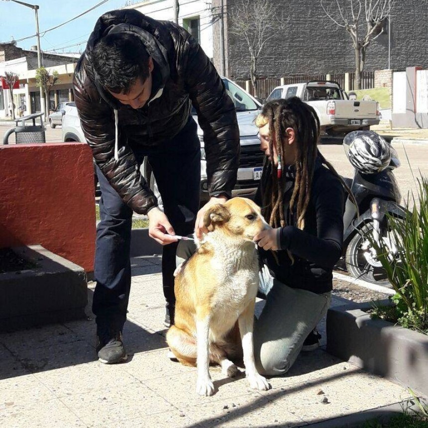 Zoonosis: Comienza la campa&ntilde;a de vacunaci&oacute;n antirr&aacute;bica gratuita y obligatoria