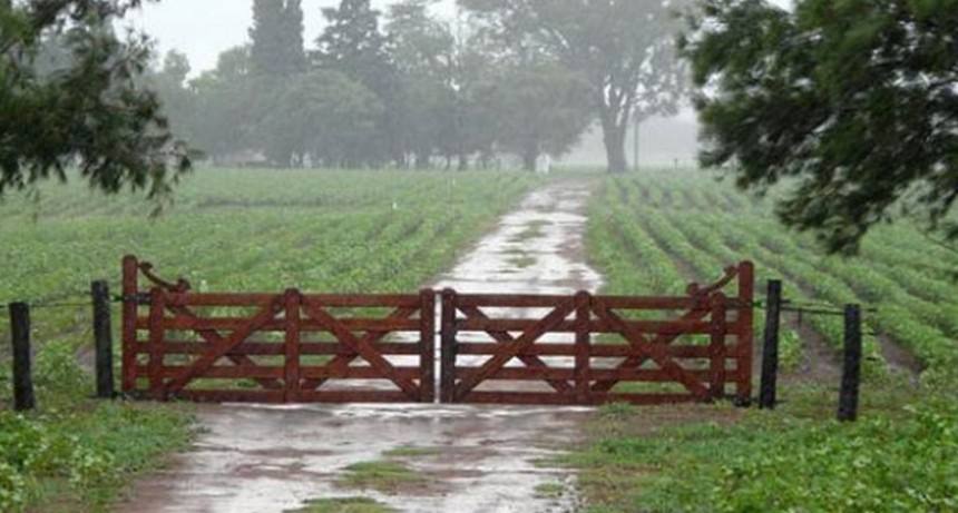 Con mucho viento, granizo en algunos sectores y registros muy variados, pasó la lluvia por Bolívar y la zona