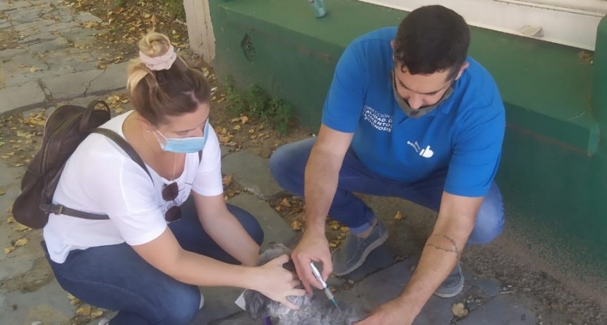 Comenz&oacute; la Campa&ntilde;a de Vacunaci&oacute;n Antirr&aacute;bica en Bol&iacute;var