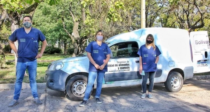 Tenencia responsable: Como resultado de la Campa&ntilde;a de Vacunaci&oacute;n Antirr&aacute;bica, 479 perros y gatos fueron vacunados en la primera semana