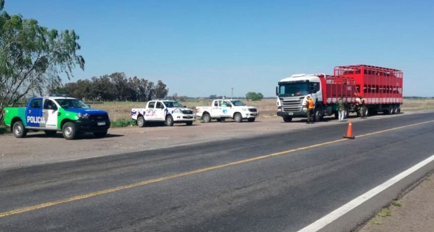 Patrulla Rural: Secuestraron tres motos, labraron infracciones de tr&aacute;nsito y faltas al C&oacute;digo Rural