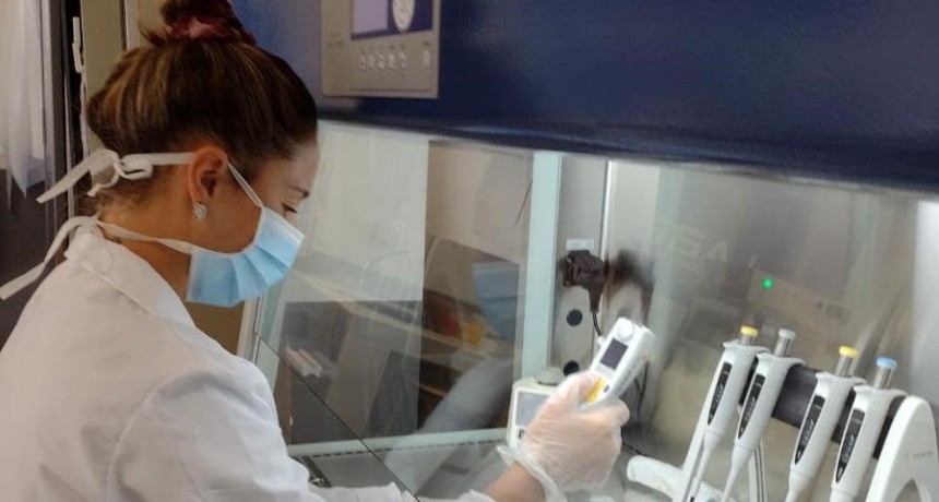 Roc&iacute;o Larreche: "Cada vez que llegan vacunas a Argentina o Bol&iacute;var es una bocanada de aire, de esperanza, que son dos cosas muy necesarias en esta situaci&oacute;n"