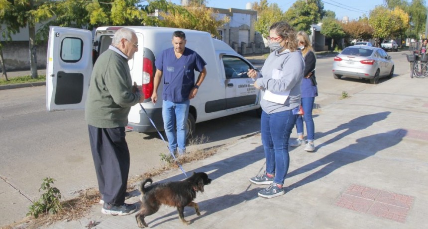 Comenzó la campaña de vacunación antirrábica