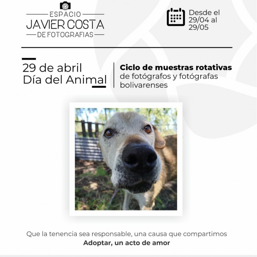 Tenencia Responsable: Nueva Muestra Fotográfica por el Día del Animal