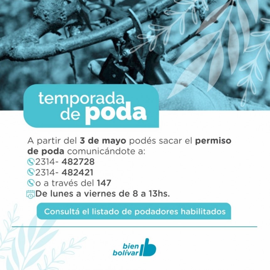 Desde este lunes: Comenz&oacute; la temporada de poda del arbolado urbano
