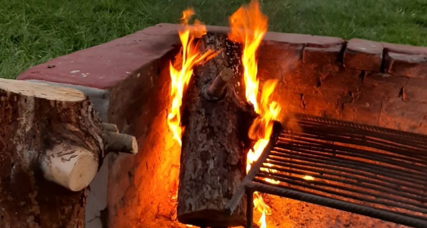 H�ctor Andr�s Ahumada: ?A partir de alguien que da�� un �rbol de la laguna encendiendo fuego en �l, la agrupaci�n Amigos de la Laguna inici� una campa�a de plantaci�n espont�nea de �rboles en nuestro predio, algo que nos pareci� perfecto?