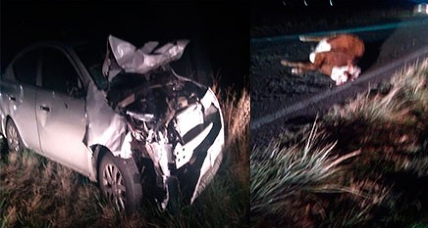 Da&ntilde;os importantes en un veh&iacute;culo tras impactar con un animal vacuno, no hubo heridos