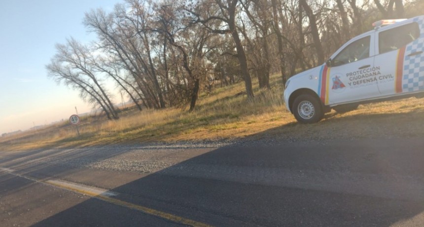 Un cami&oacute;n perdi&oacute; parte de su carga de piedras