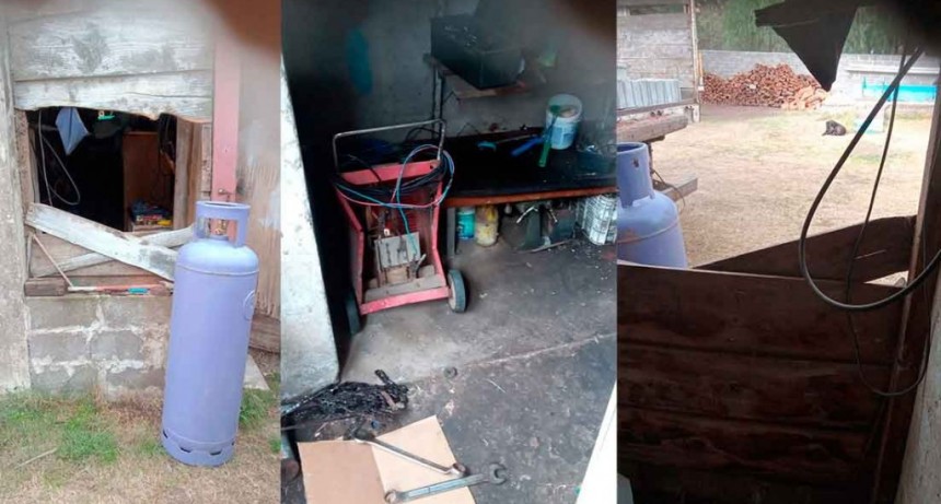 Beatriz Teruel: “No nos alcanza con la jubilación y mi marido hace leña para vender, nos robaron las herramientas y nos complicaron mucho”