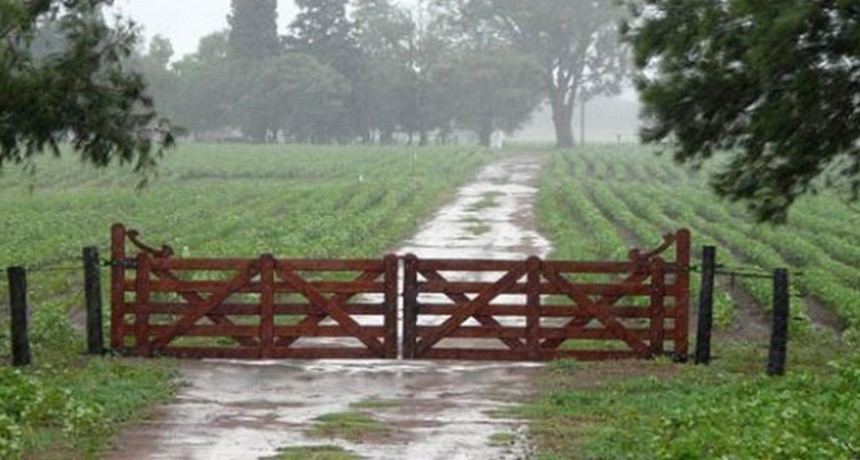 Lluvias de invierno con tormenta el&eacute;ctrica, se registraron entre 5 y 25 mil&iacute;metros en la zona y planta urbana