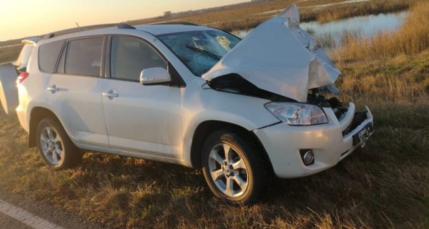 Ruta 205: Una conductora impactó contra un vacuno y fue trasladada a Bolívar