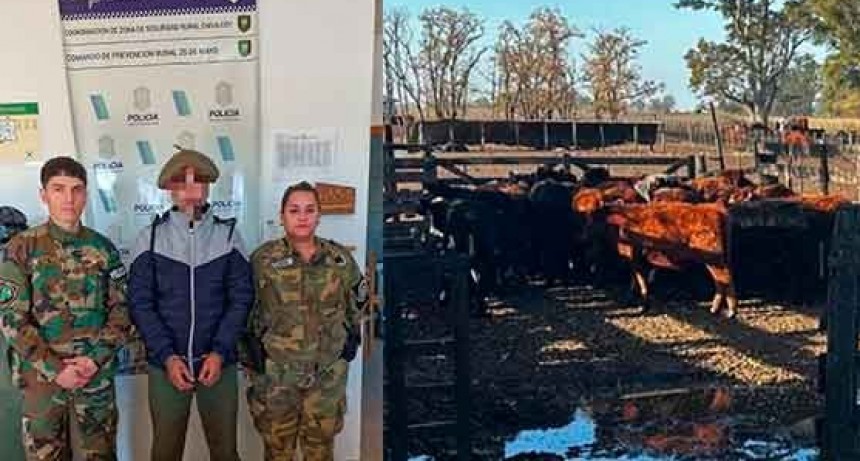 Informe Oficial SUB DDI Bolívar: Causa Abigeato, detuvieron a un bolivarense al cual se le imputa el robo de 25 terneros de invernada