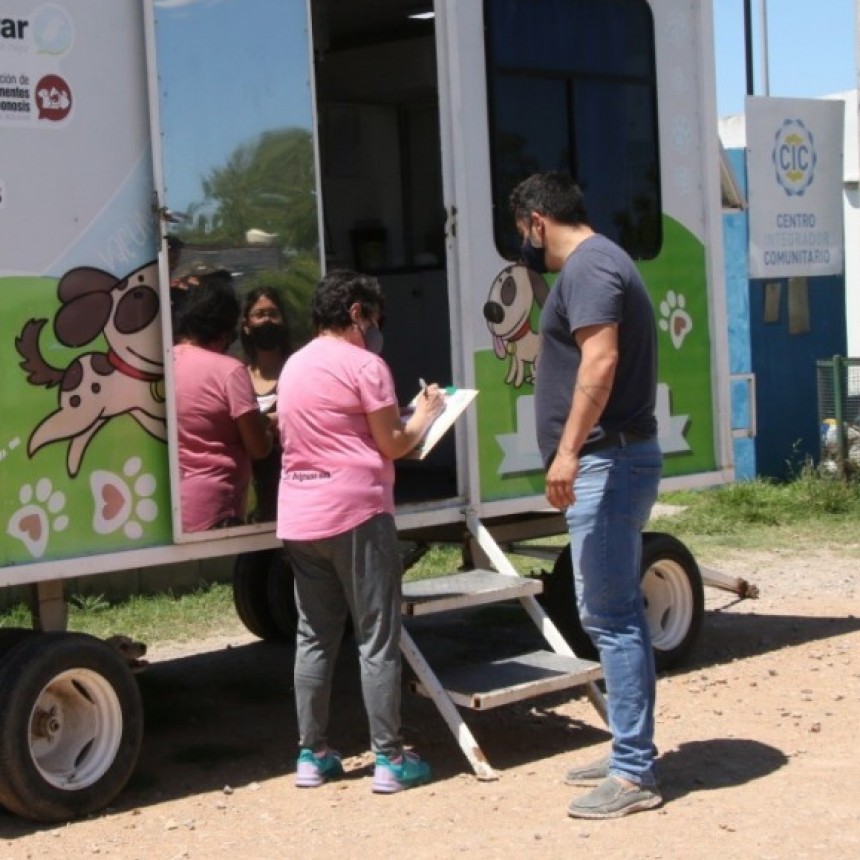Reconocimiento para veterinarios/as en su d&iacute;a, desde el Municipio, gracias a su labor logr&oacute; una cifra record de castraciones