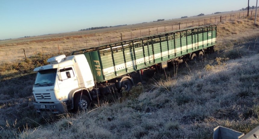 Se encaj&oacute; un cami&oacute;n jaula esta ma&ntilde;ana en rotonda 205 y 65