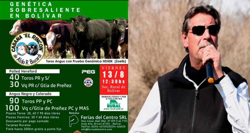 C&eacute;sar Diez: &ldquo;Las caba&ntilde;as trabajan todo el a&ntilde;o para presentar sus reproductores y esperar este remate&rdquo;