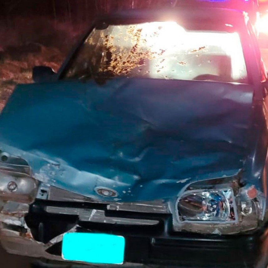 Un conductor colision&oacute; contra un vacuno