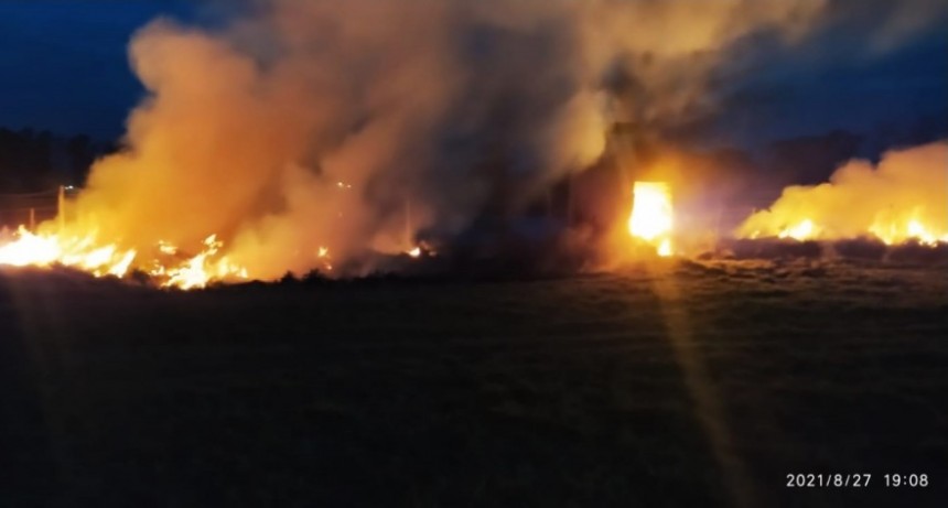 Bomberos extingui&oacute; un importante incendio forestal