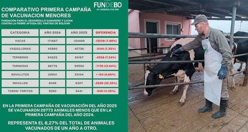 Sanidad Animal en Alerta: Importante caída en la vacunación de animales en Bolívar, desde FUNDEBO alertan sobre el impacto sanitario