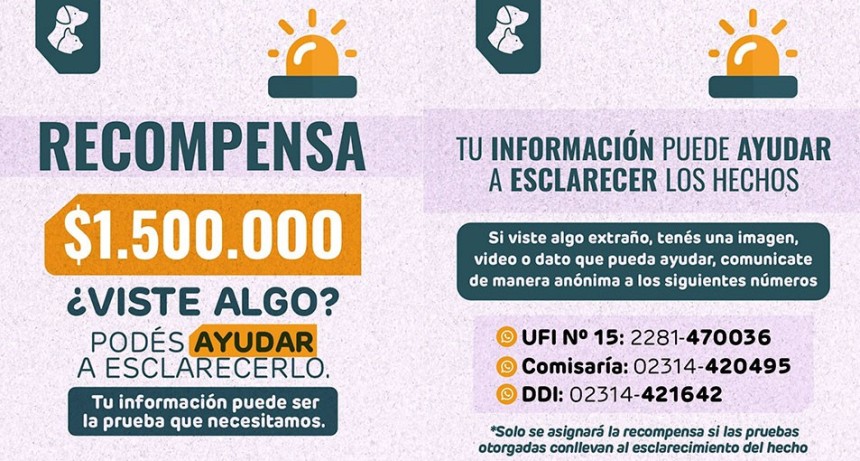 El Municipio trabaja con SAPAAB y Fiscal&iacute;a para avanzar en el esclarecimiento de casos de envenenamiento de animales