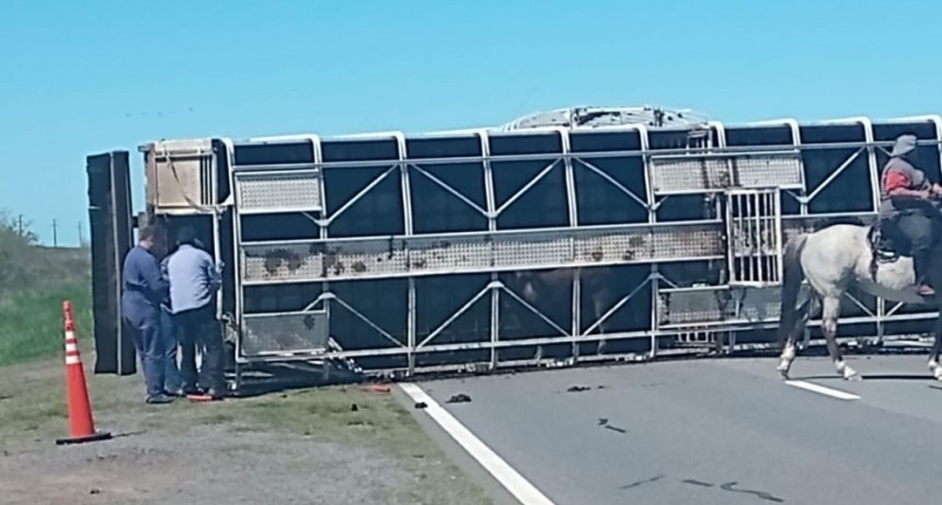 Vuelco de un acoplado en ruta 226