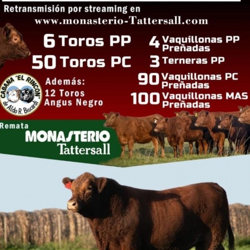 Monasterio Tattersall invita para este viernes al remate de Huanguelen, en FM 10 hablamos con Guillermo Di Carlo de la firma y dio detalles importantes