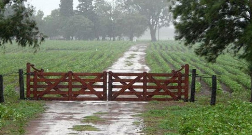 Volvieron las lluvias, con registros de 15 a 35 milímetros
