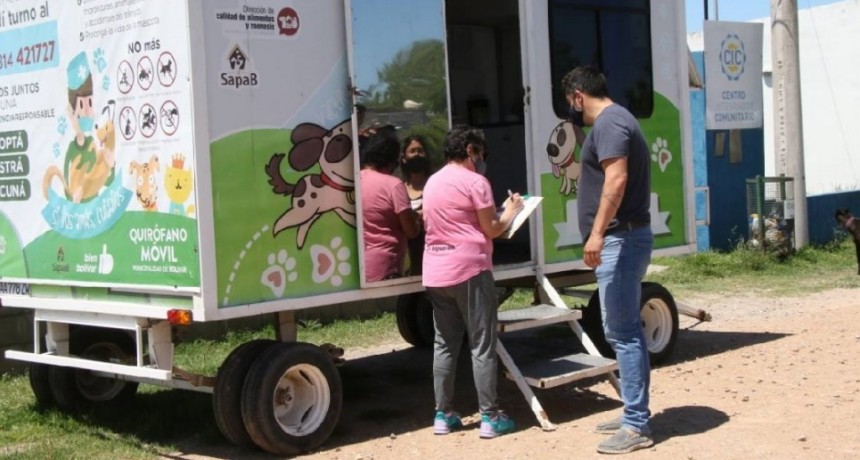 Tenencia Responsable: Se realizaron 88 Castraciones en una nueva jornada masiva