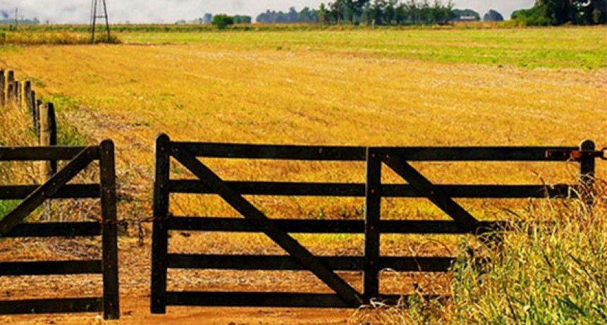 Informe de lluvias en la zona, hasta las 9 de la mañana