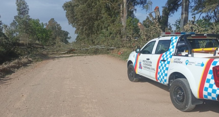 Fuertes vientos dejaron huellas en la tarde en inmediaciones al predio de Sociedad Rural, y por la noche en la zona de Paula