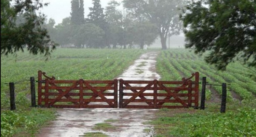 Lluvias que variaron desde 10 hasta 70 mil&iacute;metros en toda la zona. Se acumulan 916 mil&iacute;metros en el a&ntilde;o