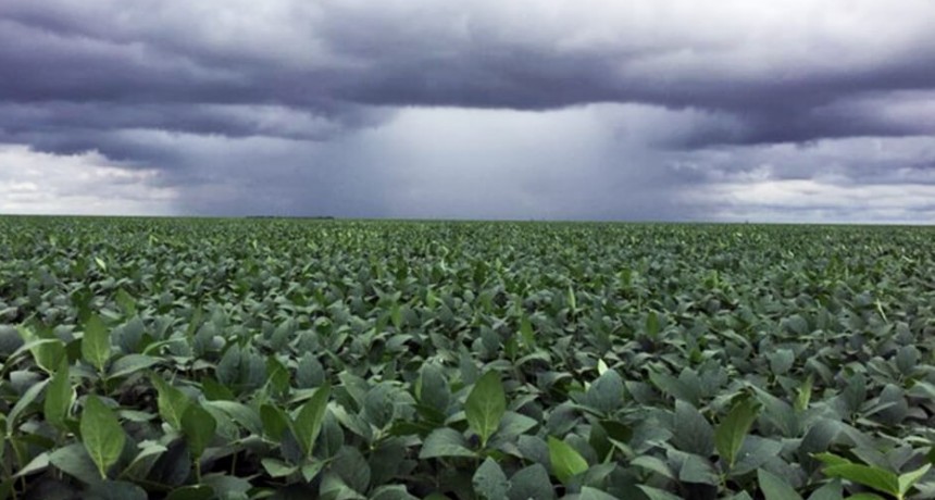 Registros que oscilan entre 25 y 45 mil&iacute;metros durante lunes ymartes