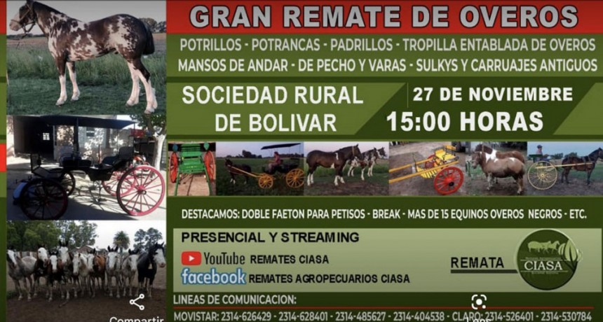 Gran remate de equinos y carruajes el próximo sábado 27 de noviembre en la Sociedad Rural de Bolívar