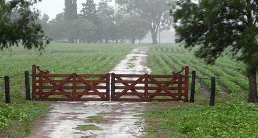 Daños en tendidos eléctricos, caída de postes y árboles con lluvias que alcanzaron hasta 60 milímetros en algunas zonas